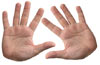 hands